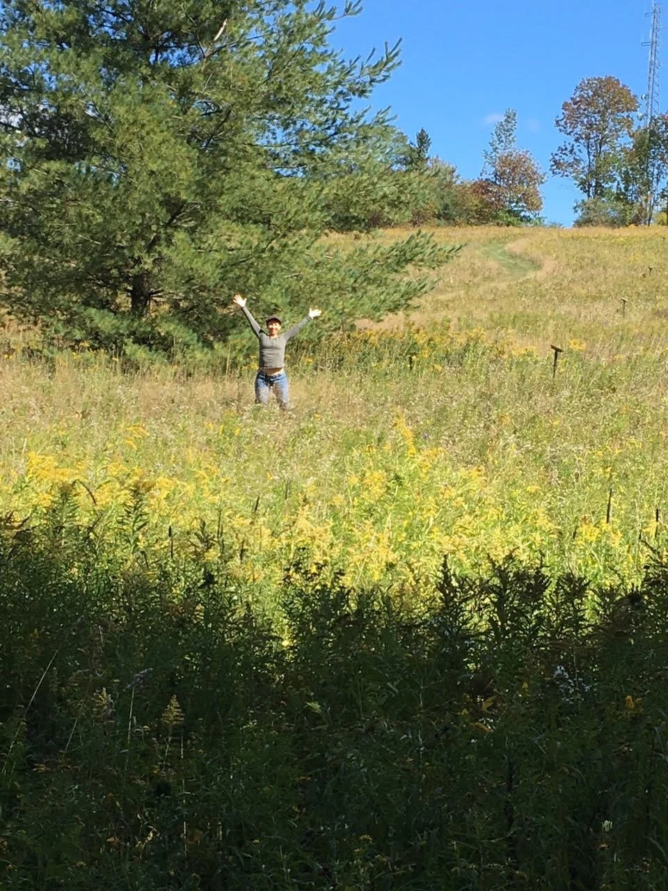 West Meadow