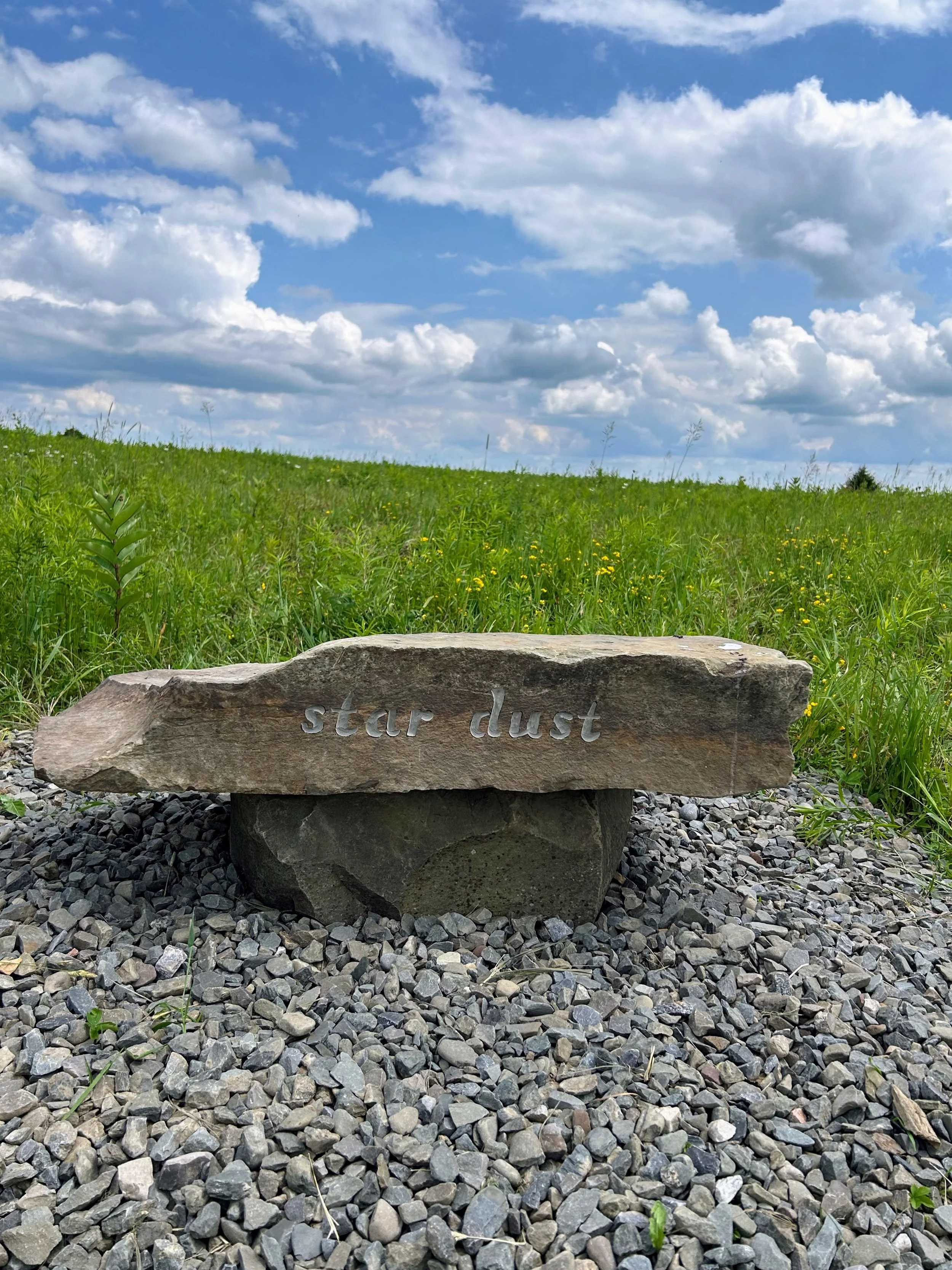 star dust - jen's bench.jpeg