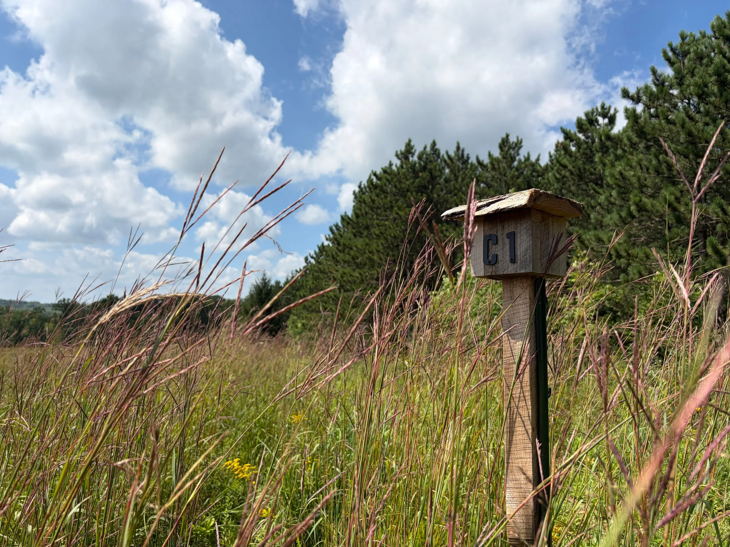Purchase Habitat Enhancement Zone Burial Rights
