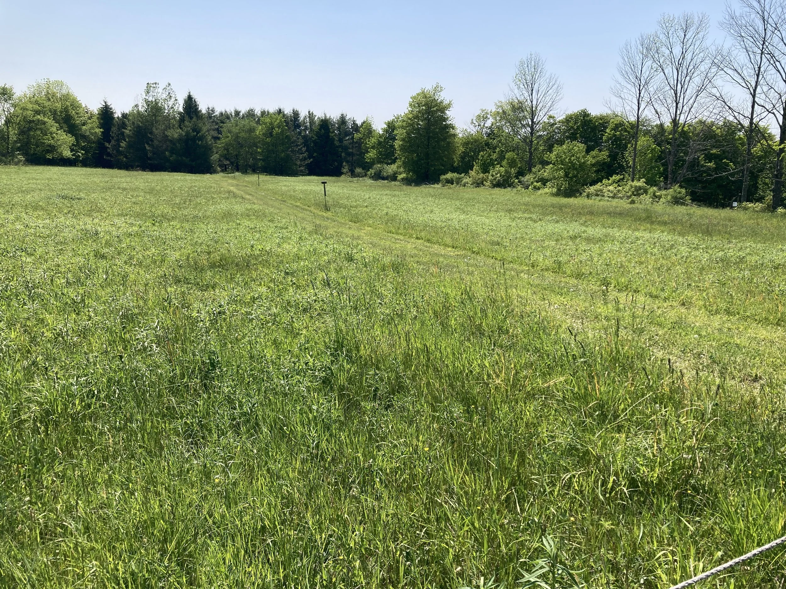 S'deh Shalom, Field of Peace, consecrated by Rabbi Glass in 2007