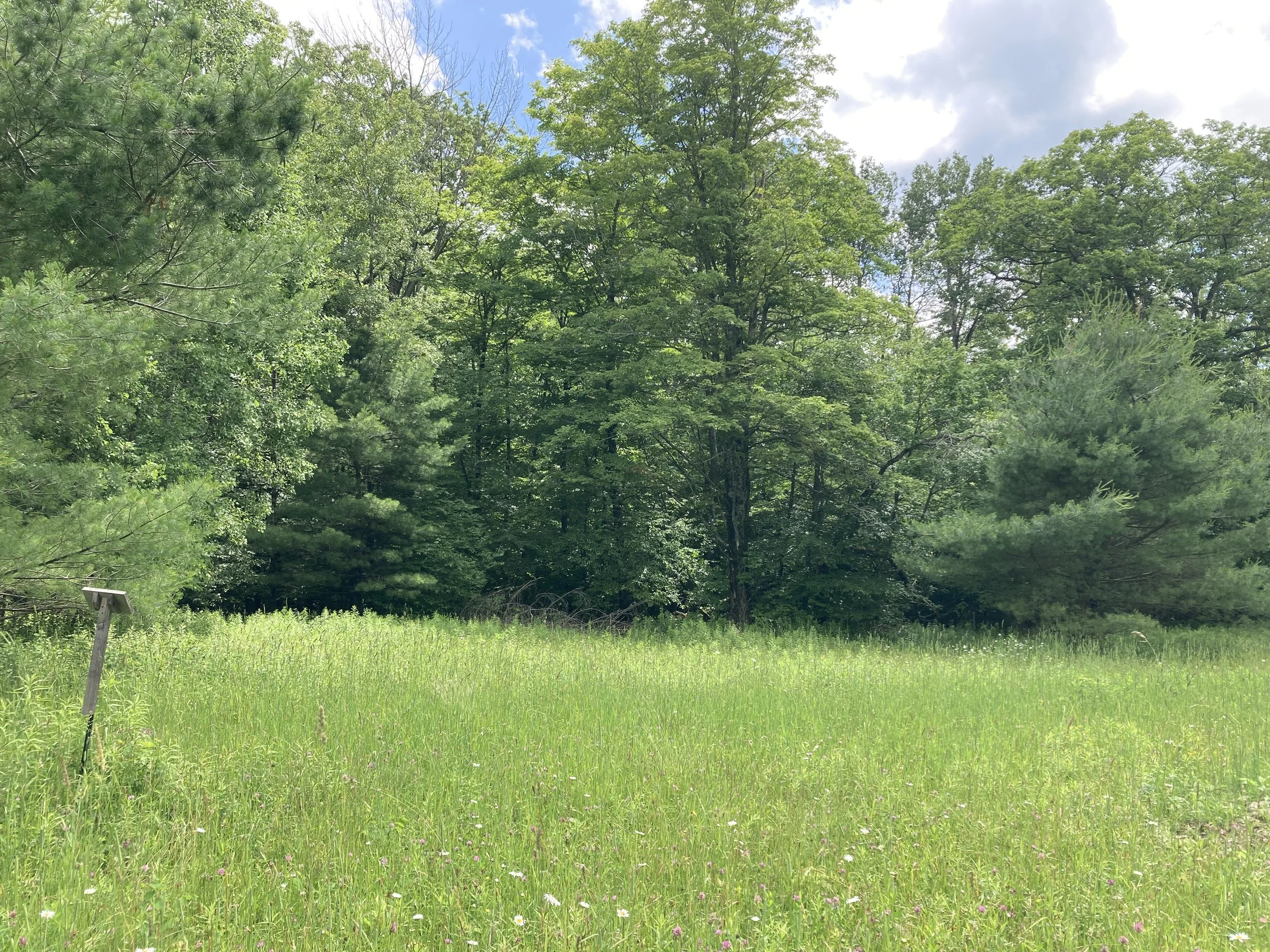 West Meadow Habitat Restoration Zone
