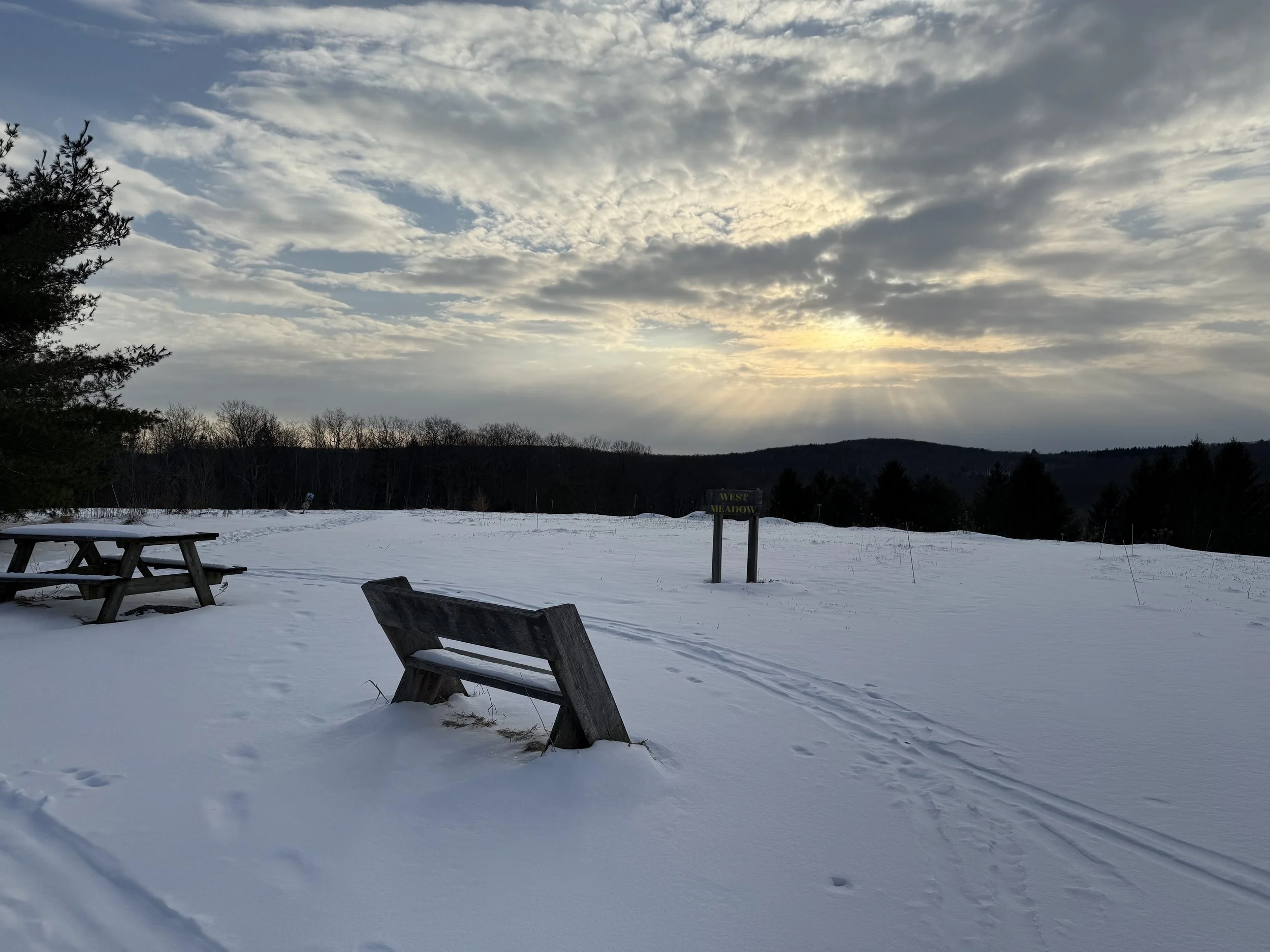 West Meadow, Winter Burial Area