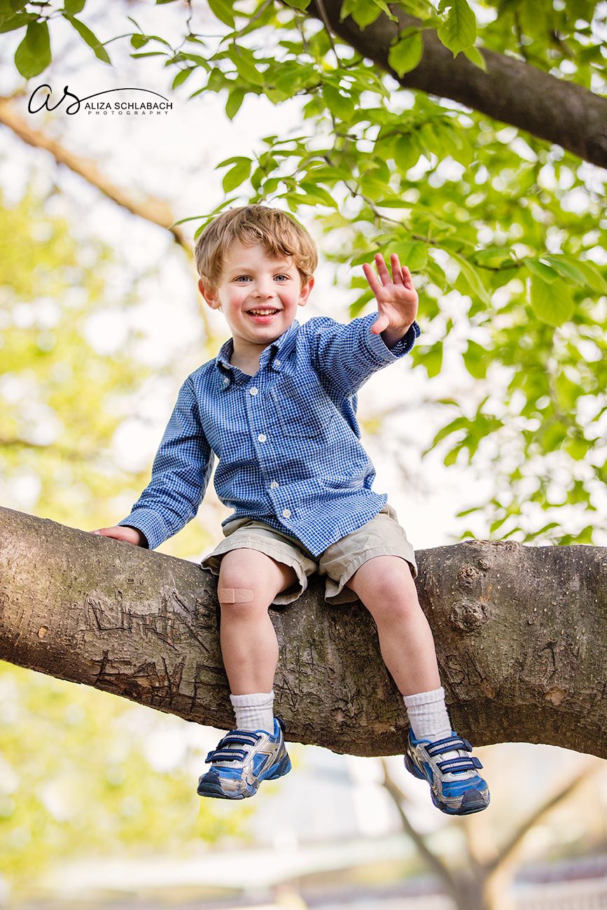 3 year old boy in a tree