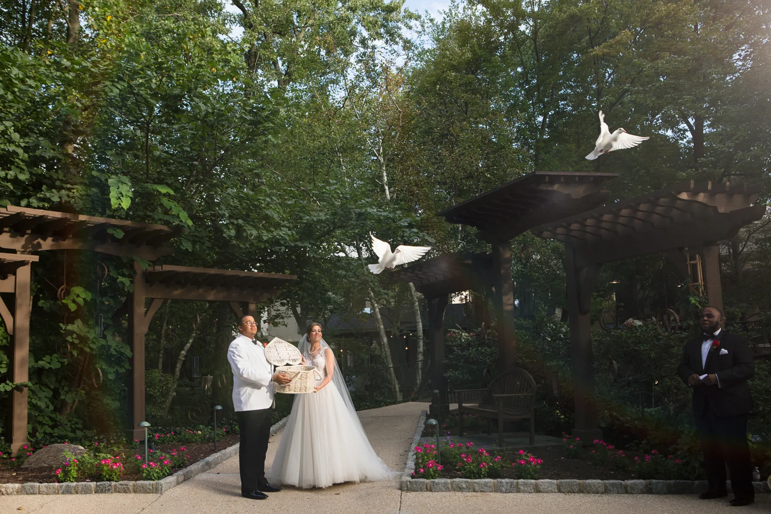 Photo of bride and groom releasing doves at The Pomme in Radnor