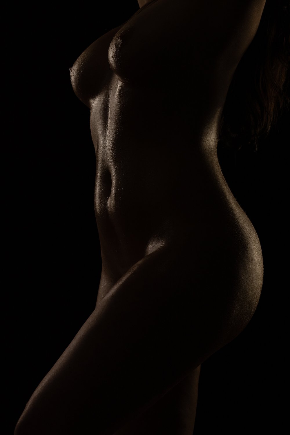 Philly boudoir photographer - photo of wet nude silhouette