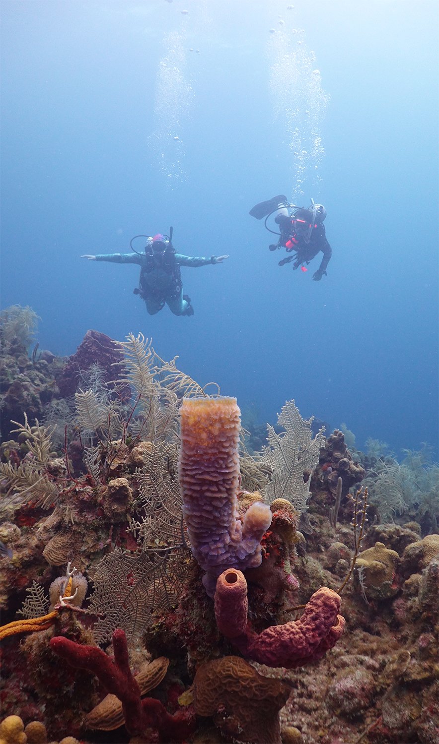  Scuba diving in Roatan, Honduras with my sister. Photo by resort photographer Orville. 