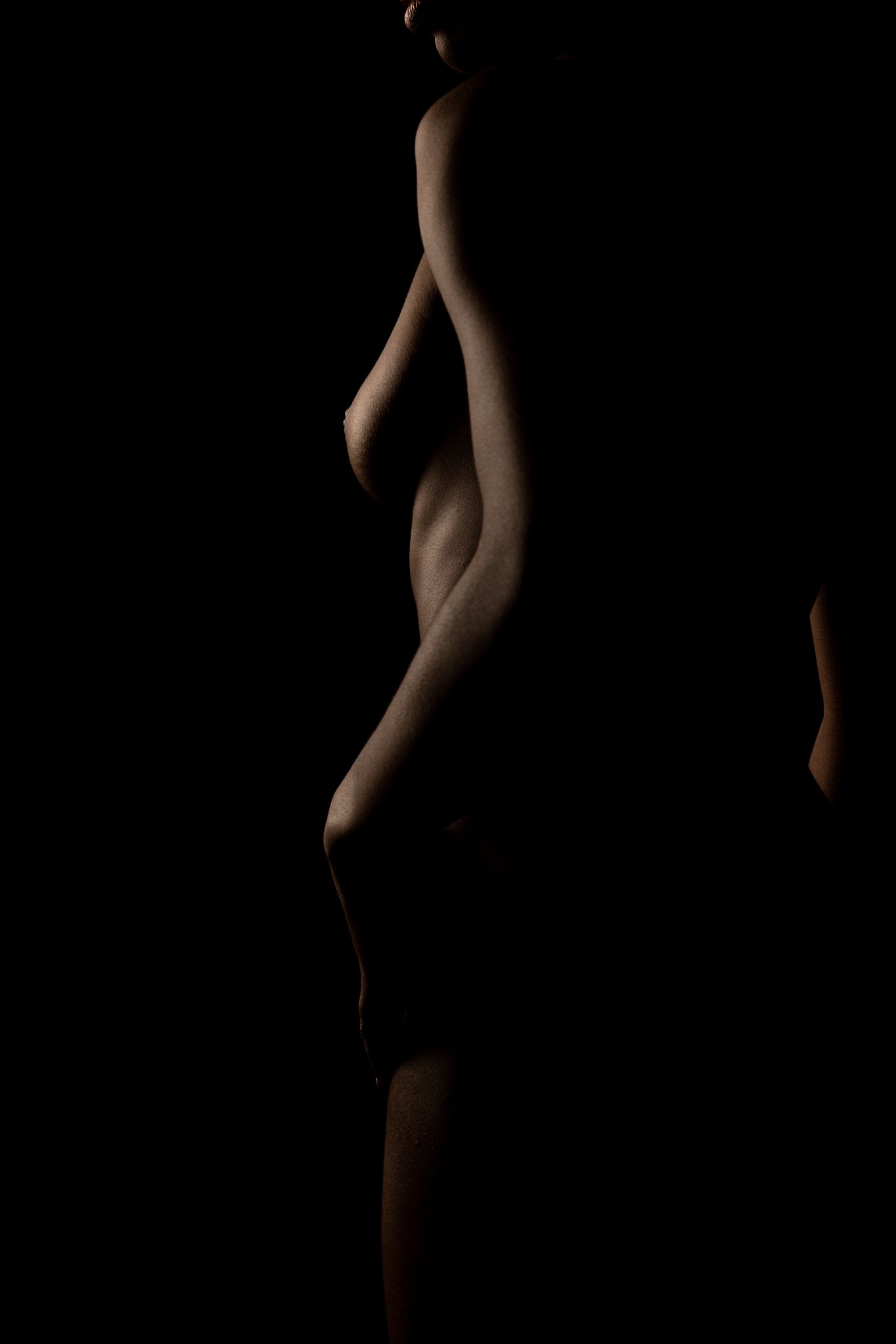 Artistic nude silhouette