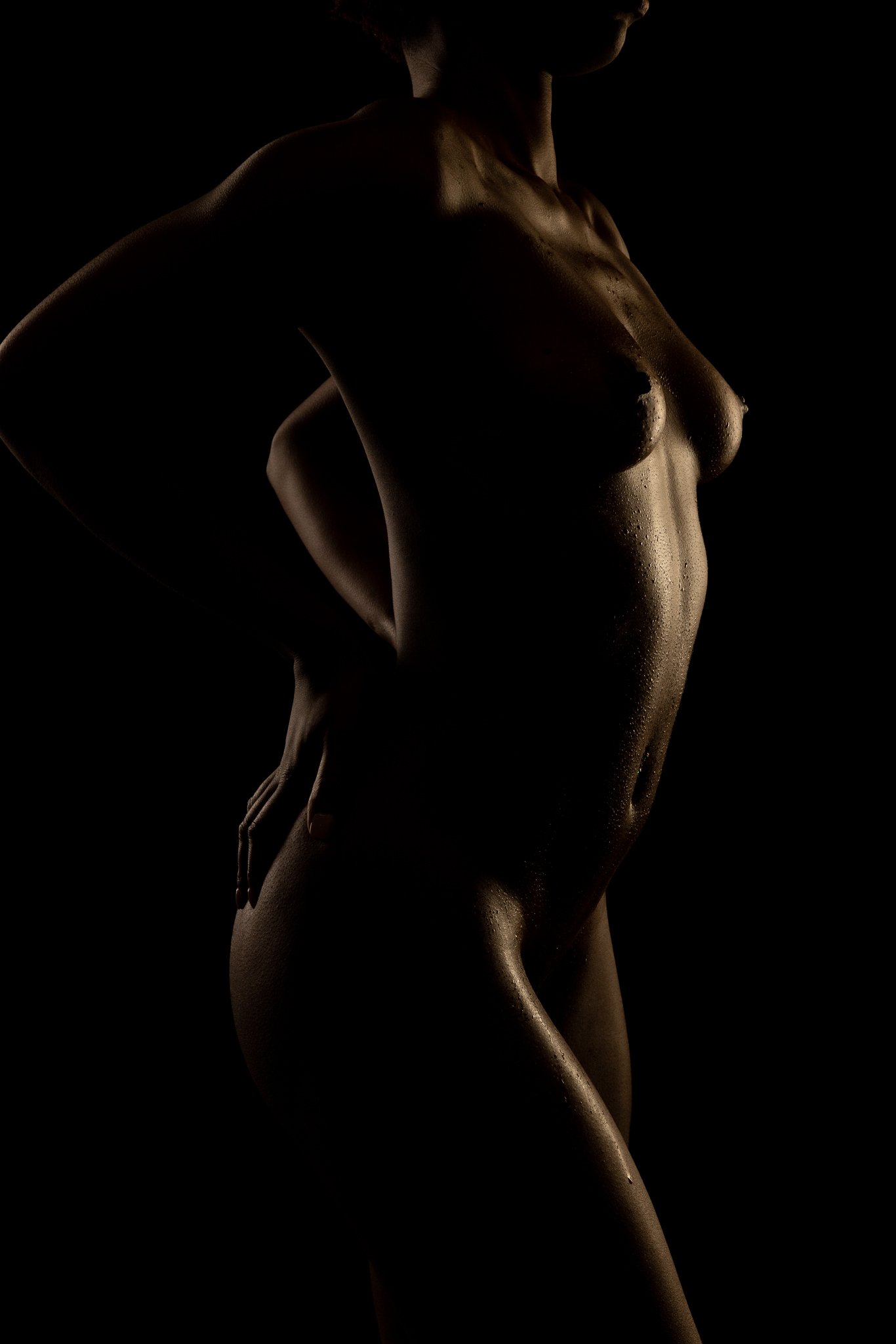Nude silhouette Philadelphia boudoir photograph