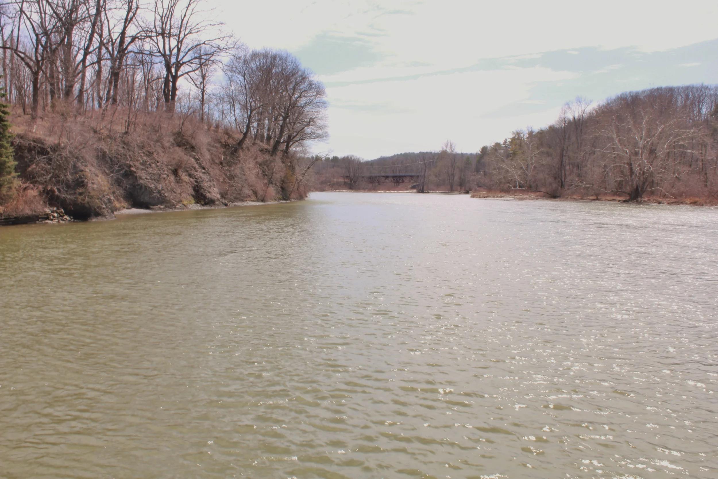  Photo by William Shannon Looking upstream from near the mouth of the Roeliff Jansen Kill, near where Robert Livingston's manor house, grist mill and brewhouse once were and nearby the spots where one or both of the Palatine stands occurred.