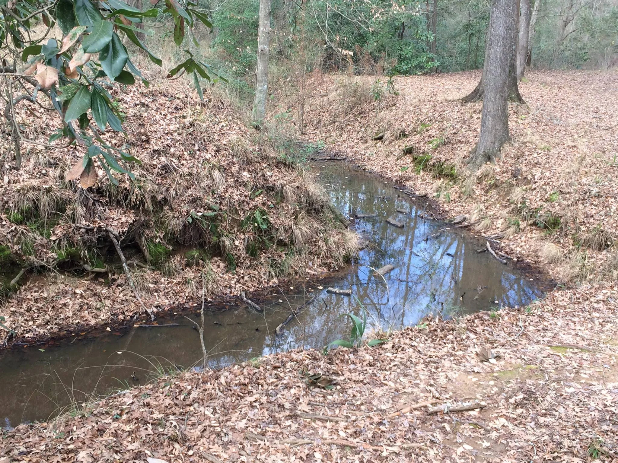 Trenches dug during the American Civil War at Port Hudson.