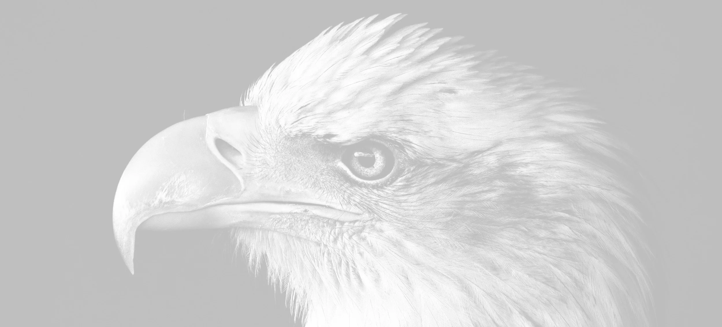 About white overlay.jpg