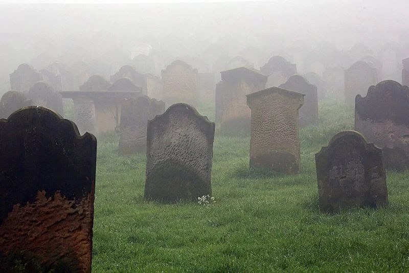 Growing Up Goth