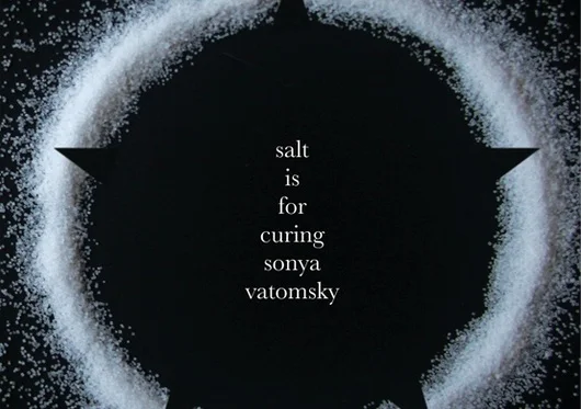 Review: SALT IS FOR CURING