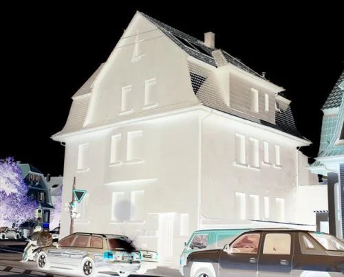 house-2 neg.jpg