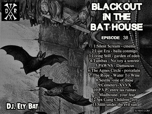 blackout in the bat house 38_preview.jpeg