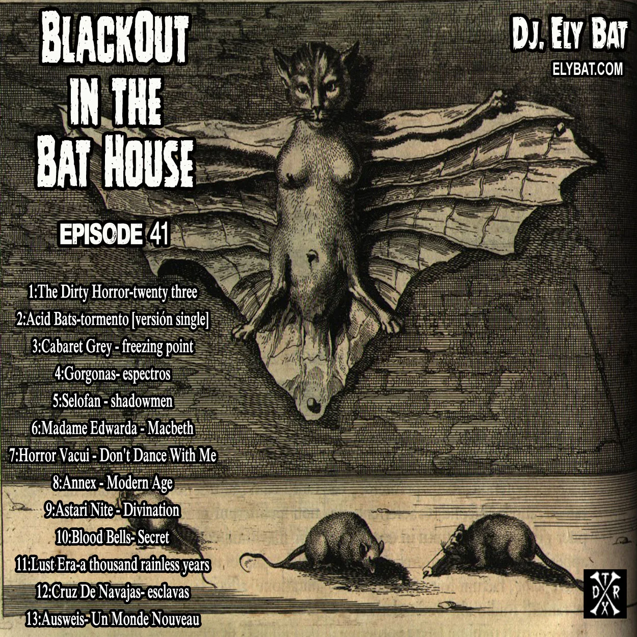 blackout in the bat house 41.jpg