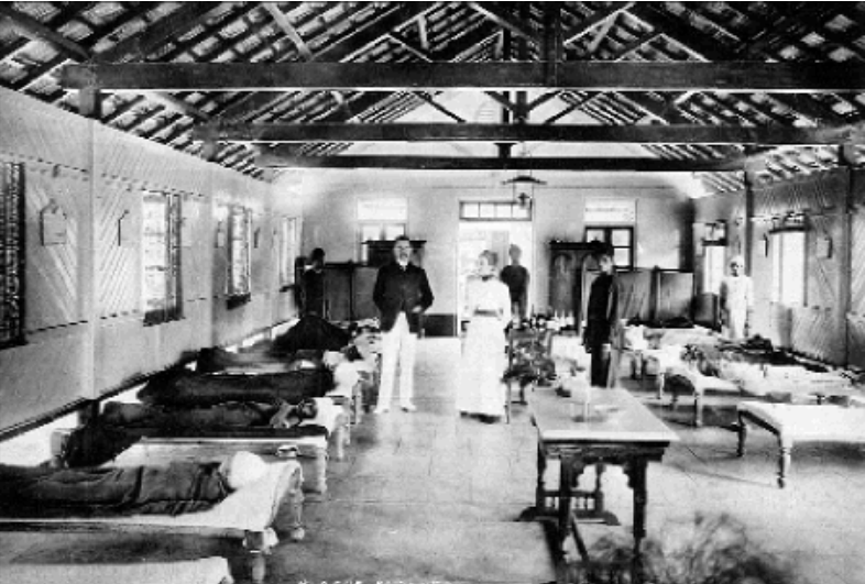 The Third Plague - Morbid Curiosity