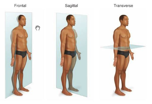 Source: NASM