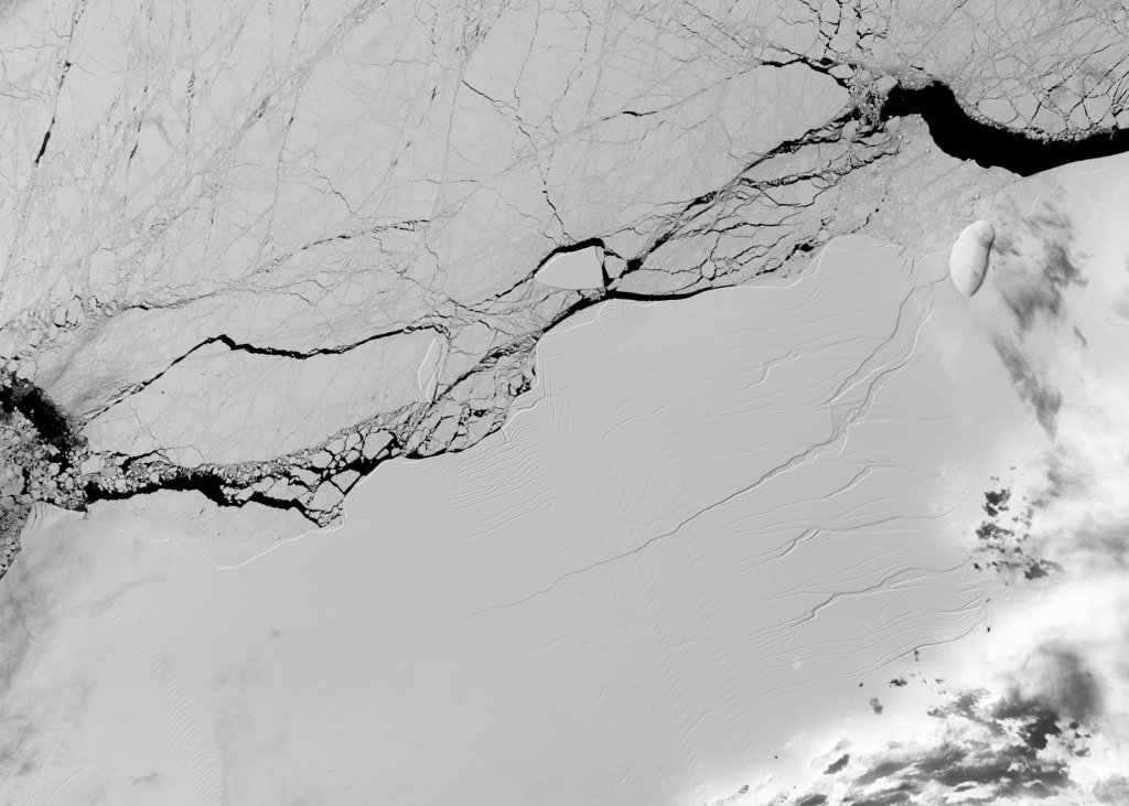 Satellite image of a long crack in the Larsen C ice shelf, taken on March 8 2017, by the Operational Land Imager on the NASA/USGS Landsat 8 spacecraft. Source: NASA/USGS Landsat