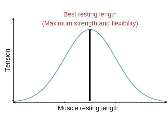 Length-3.jpg