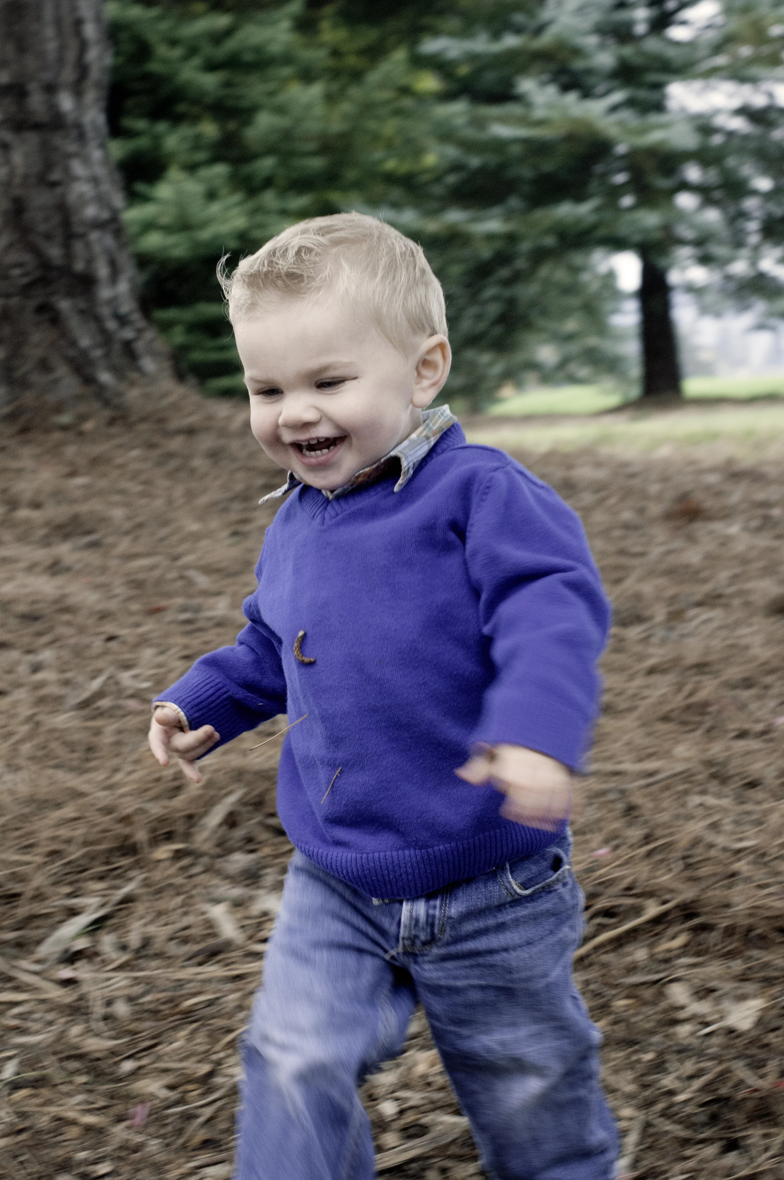 Anderson Family-chasing hudson5.jpg