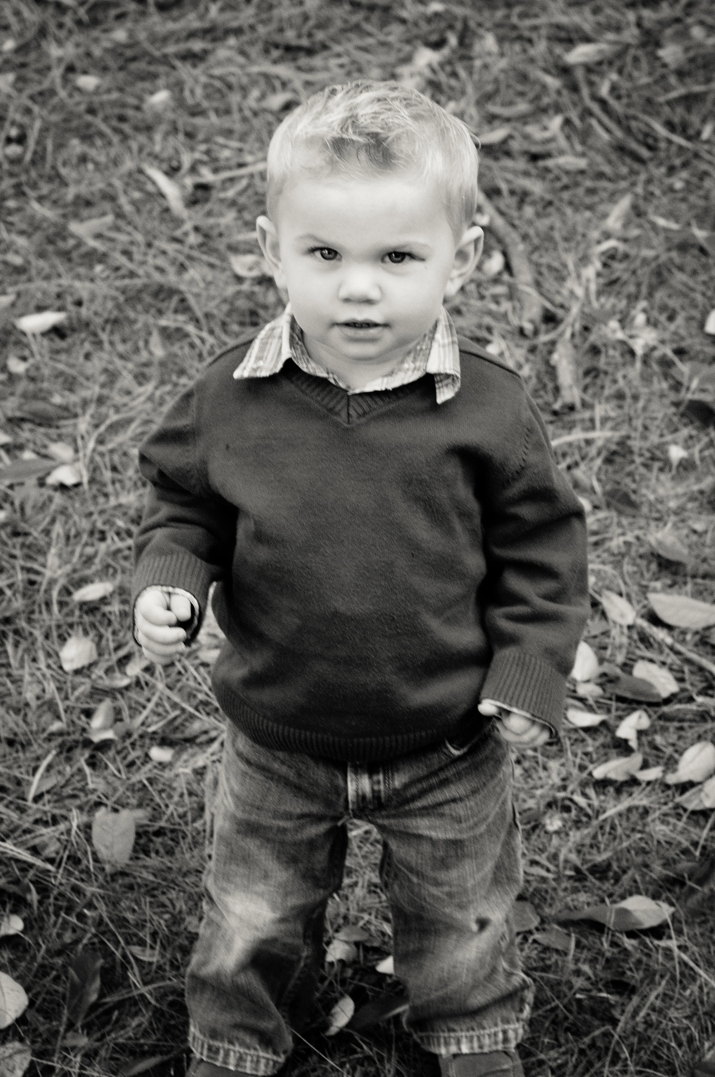 Anderson Family-Hudson platinum.jpg