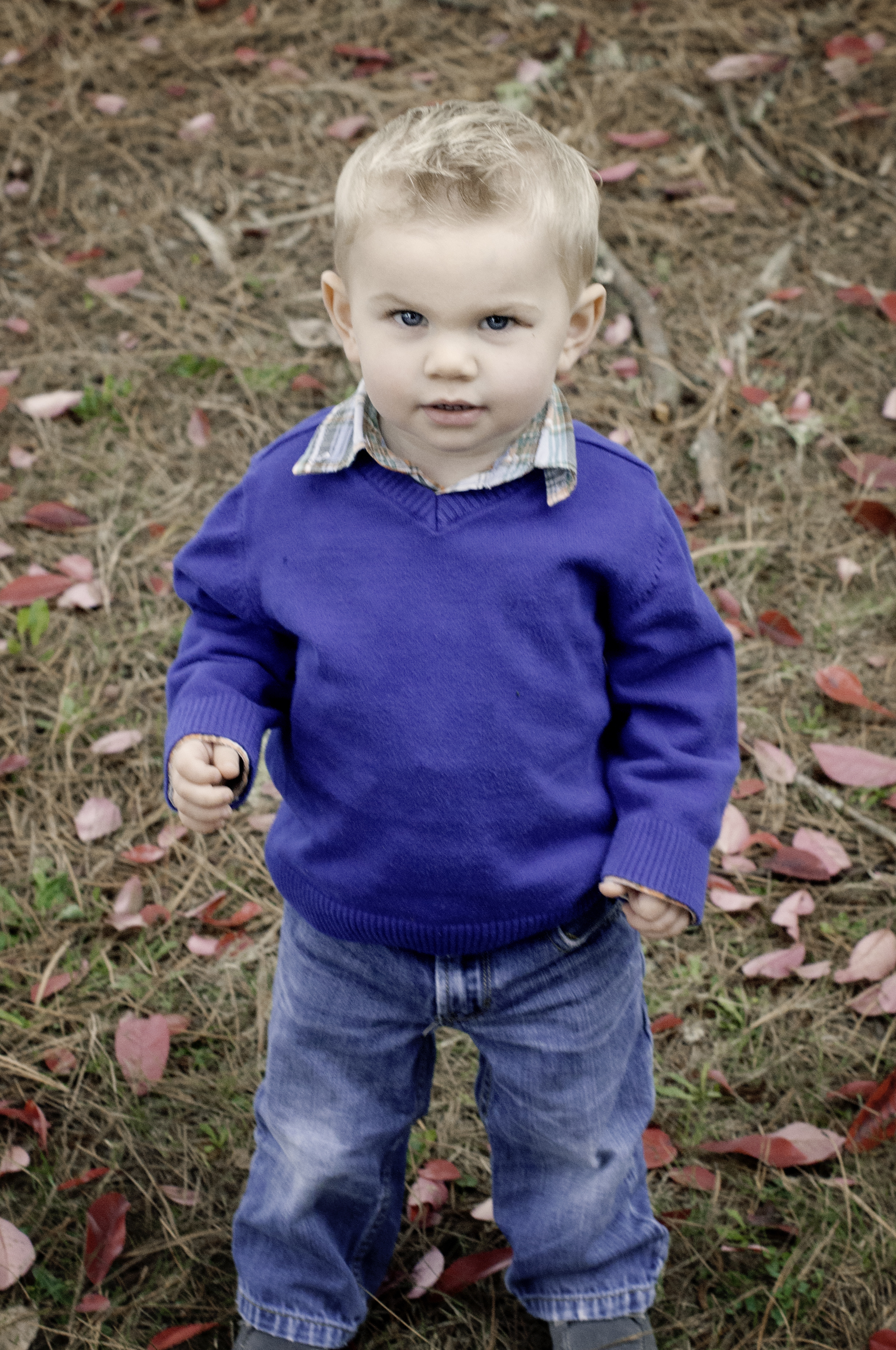 Anderson Family-Hudson.jpg