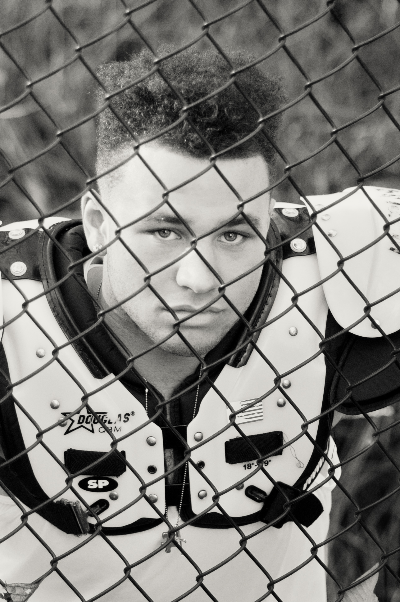 Chain Link Fence platinum Tight Crop.jpg