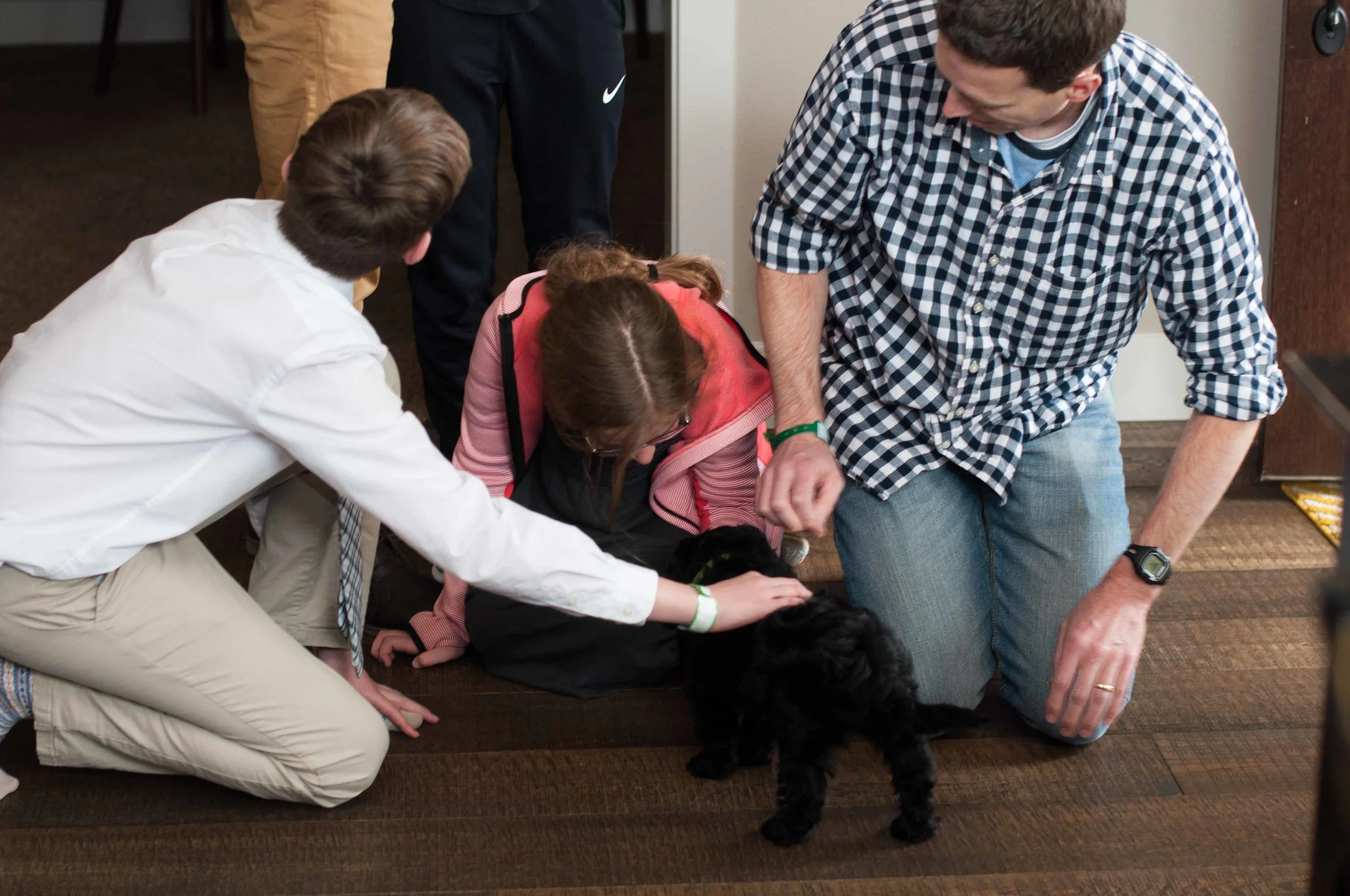 Henstroms Get a Puppy (96 of 254).jpg