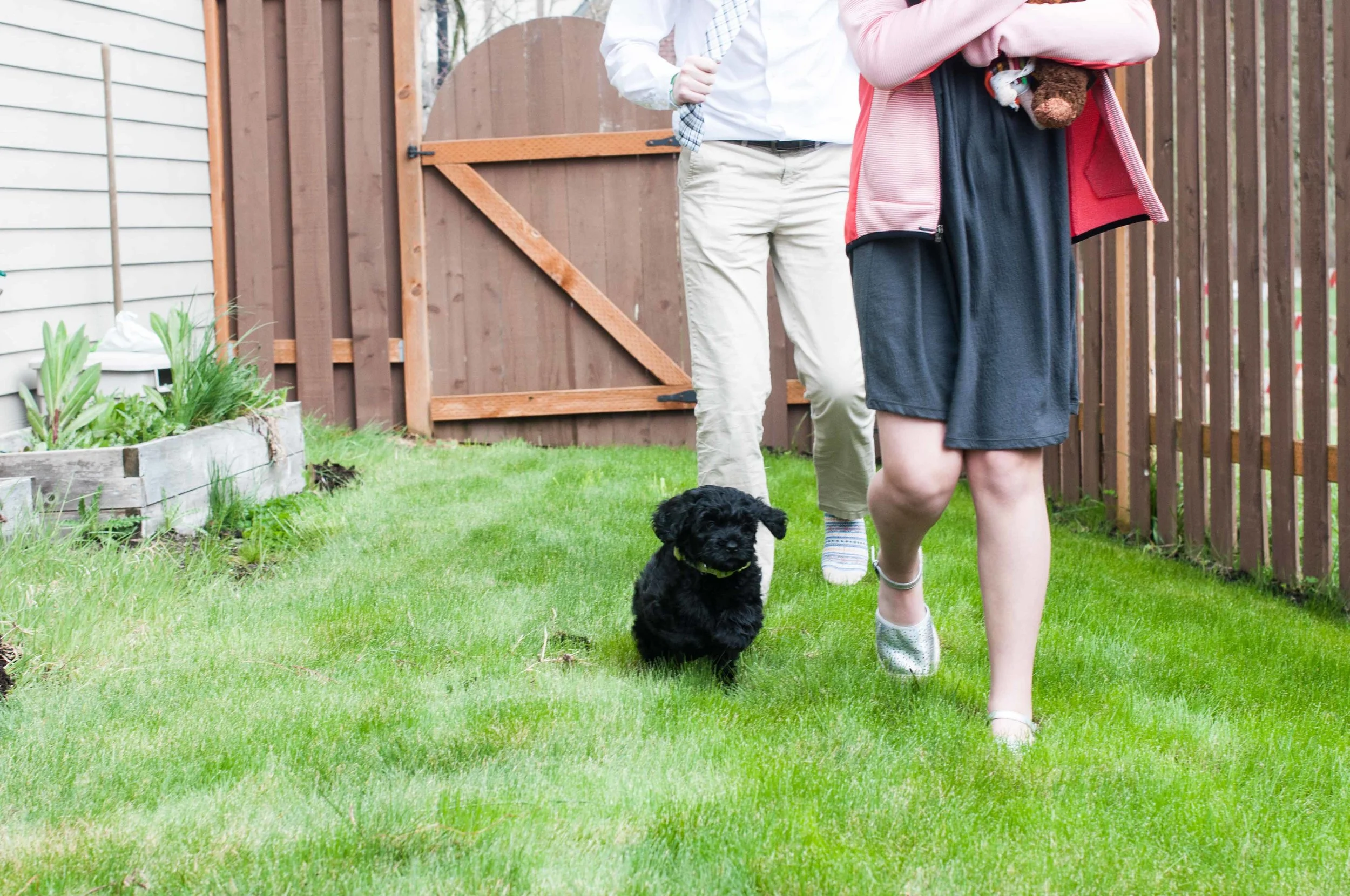 Henstroms Get a Puppy (131 of 254).jpg