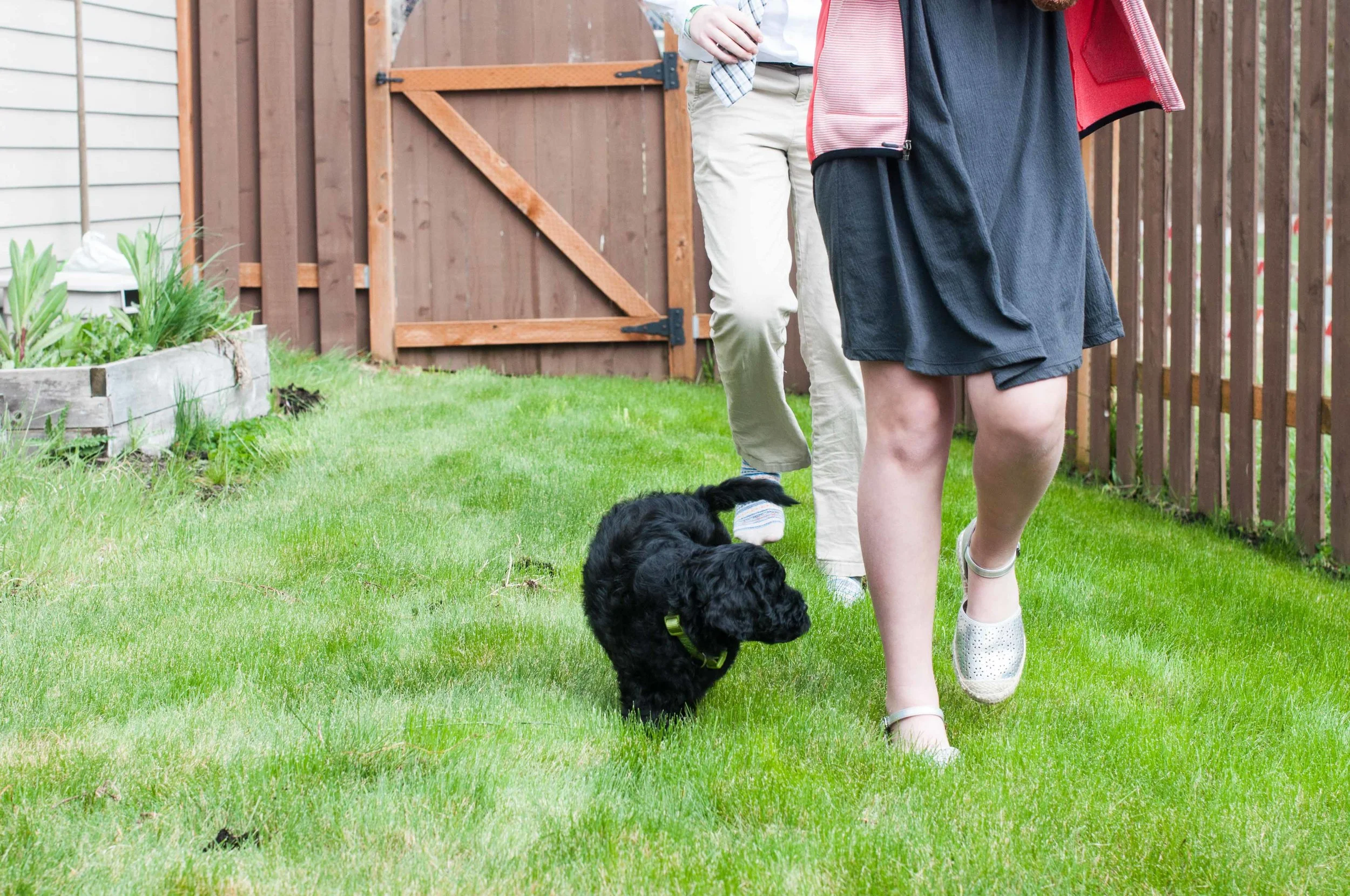 Henstroms Get a Puppy (132 of 254).jpg