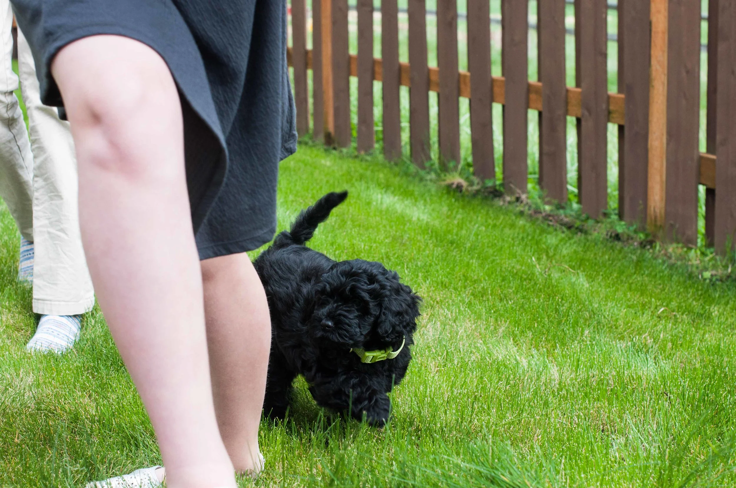 Henstroms Get a Puppy (135 of 254).jpg