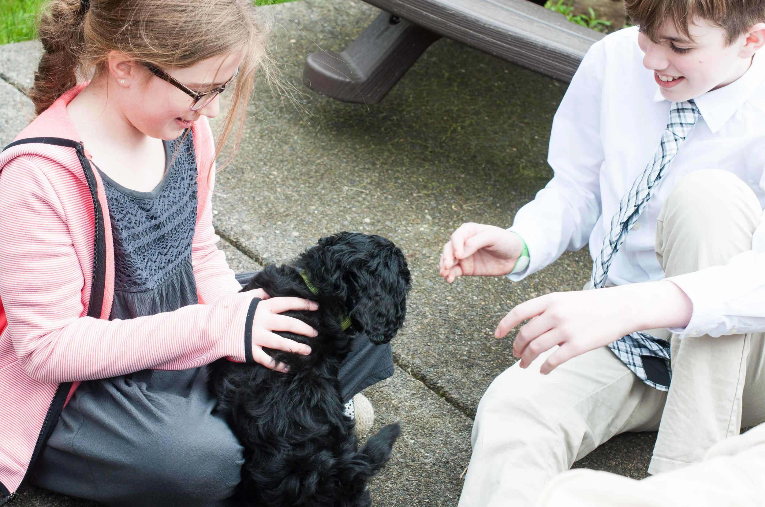 Henstroms Get a Puppy (164 of 254).jpg