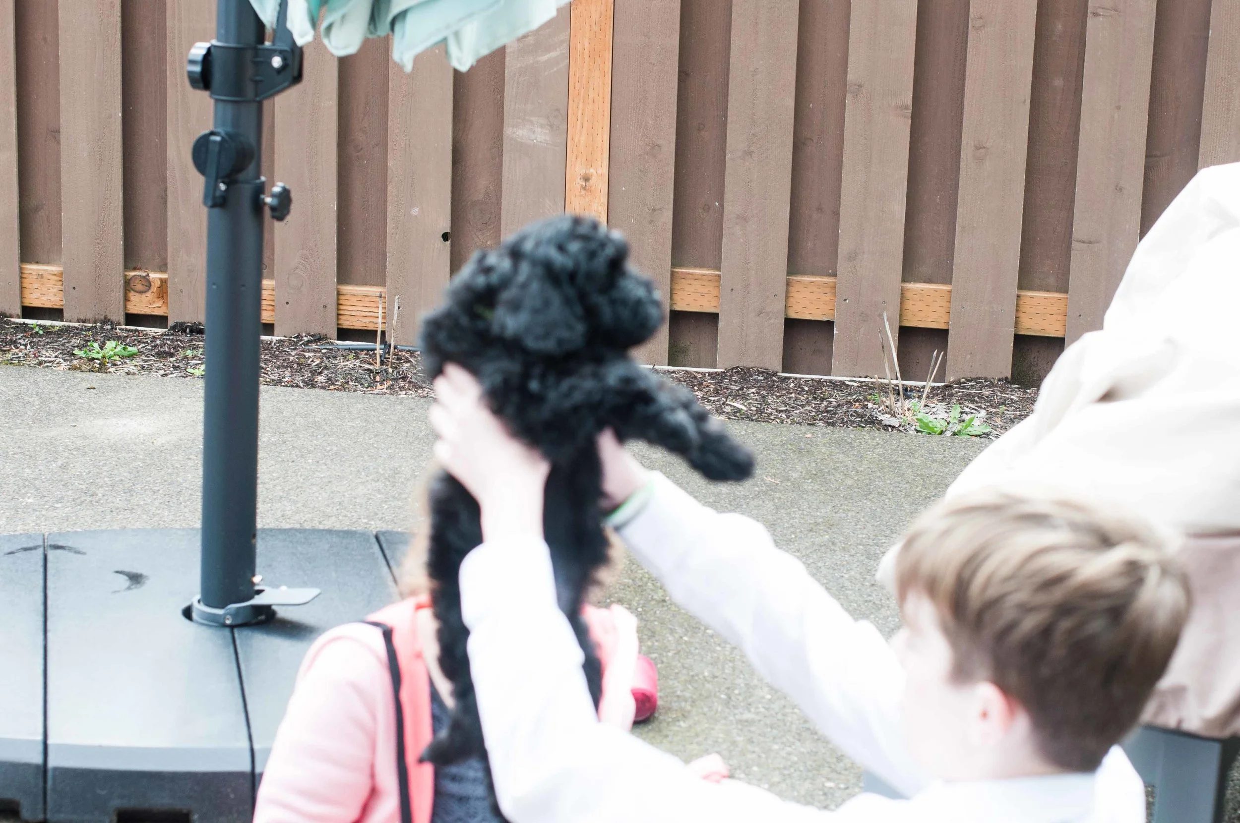 Henstroms Get a Puppy (225 of 254).jpg