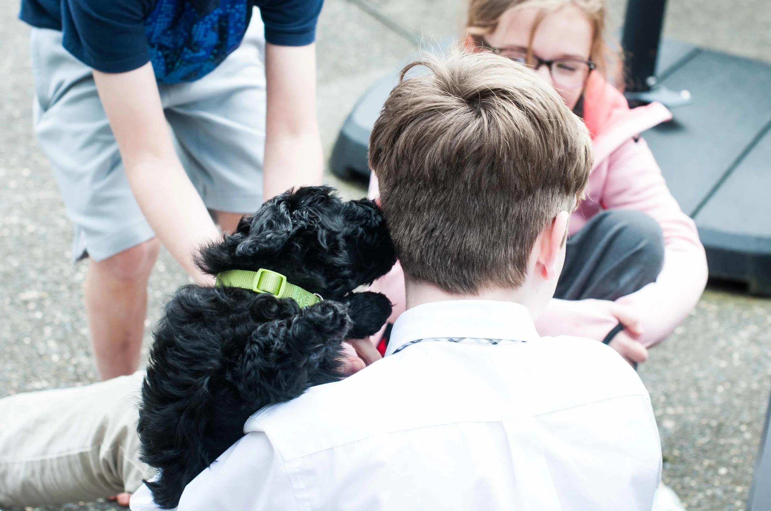 Henstroms Get a Puppy (233 of 254).jpg