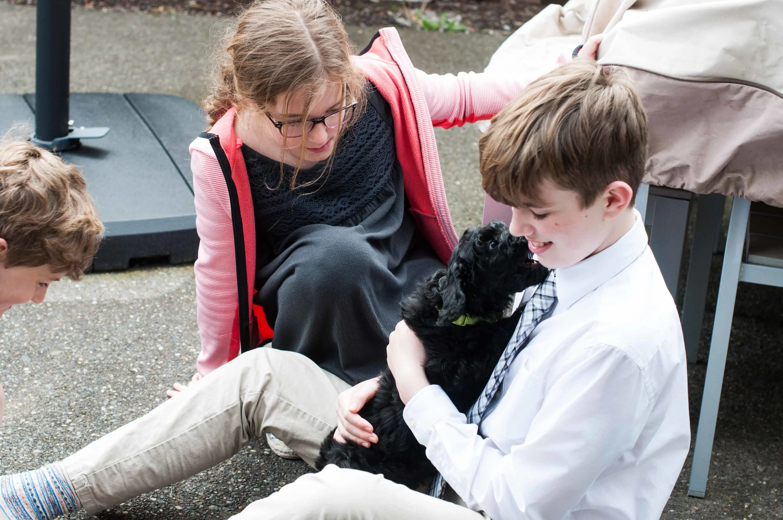 Henstroms Get a Puppy (241 of 254).jpg
