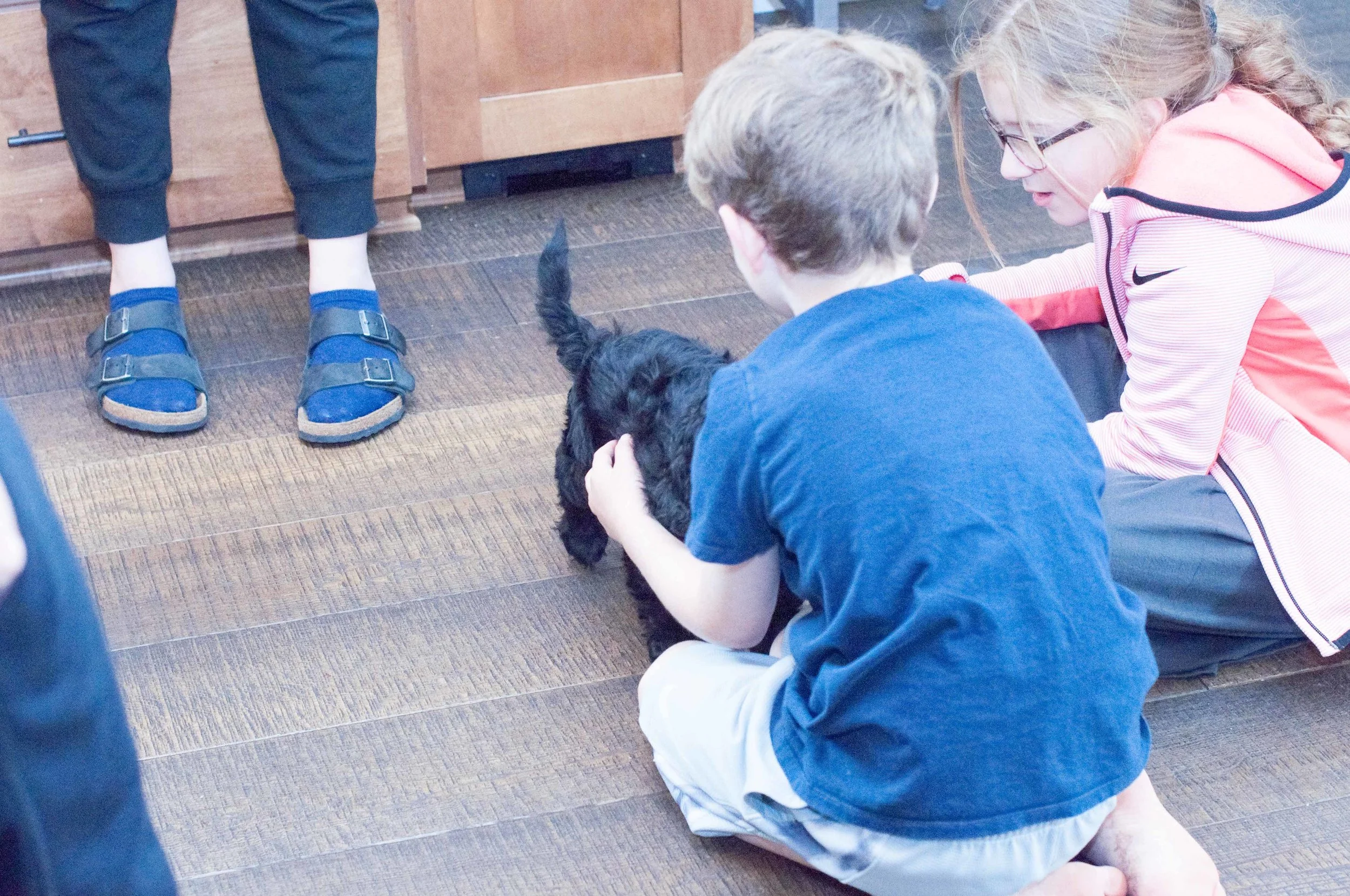 Henstroms Get a Puppy (249 of 254).jpg