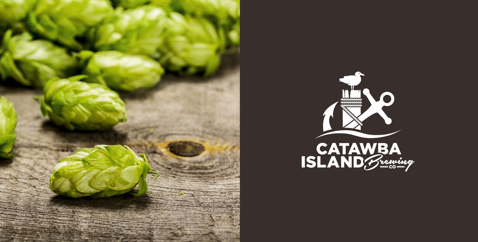 catawba-island-brewing-co-white-logo.jpg