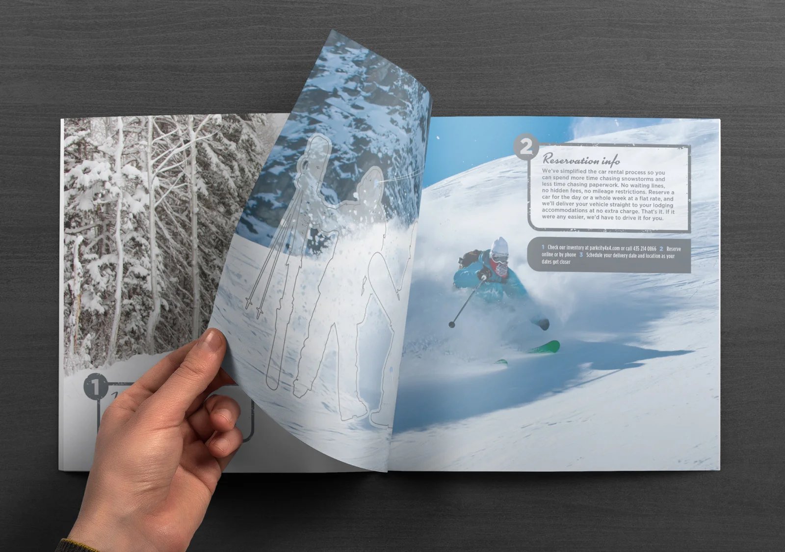 Brochure details