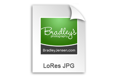 digital_file_lores.jpg