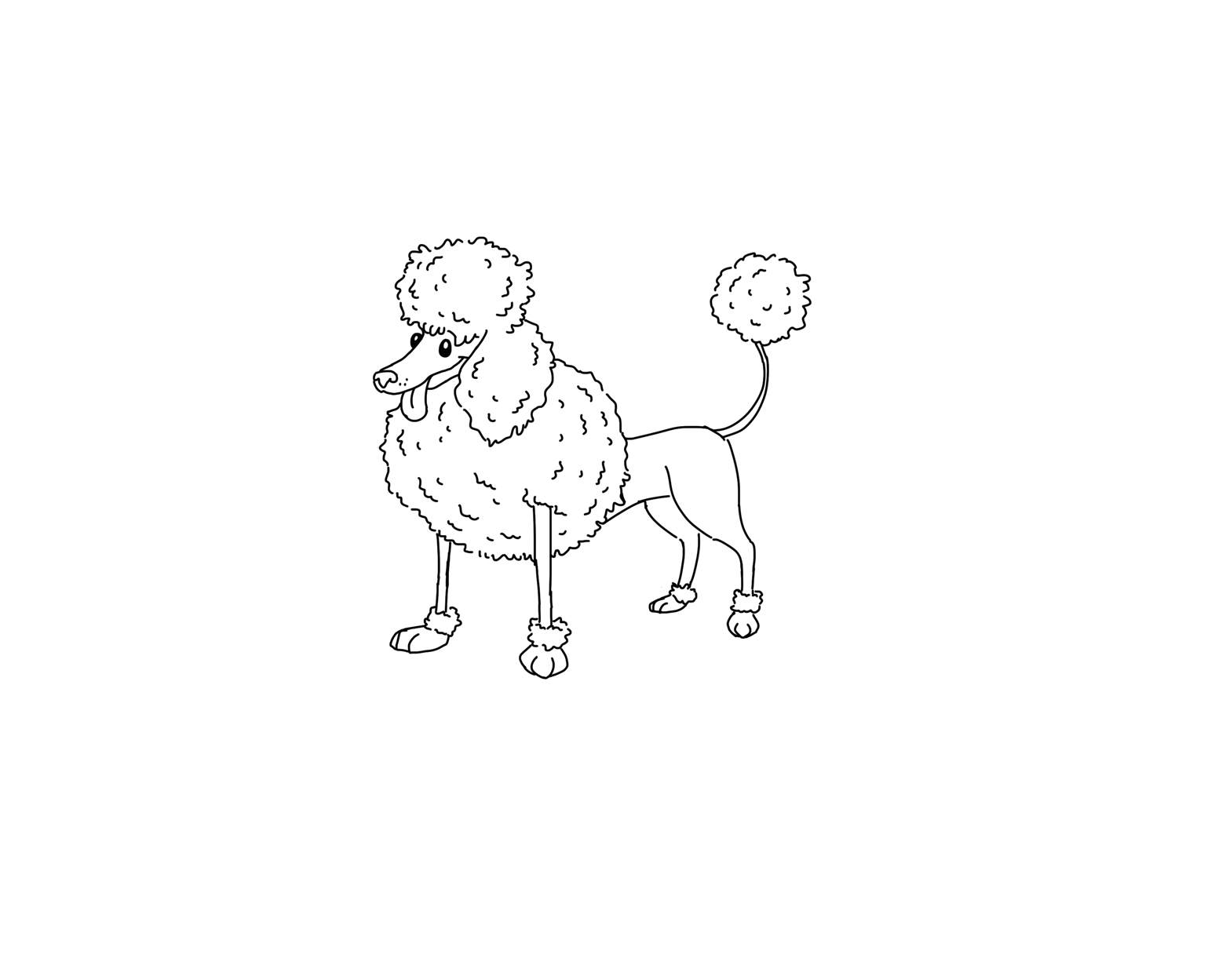 poodle_puddle.gif