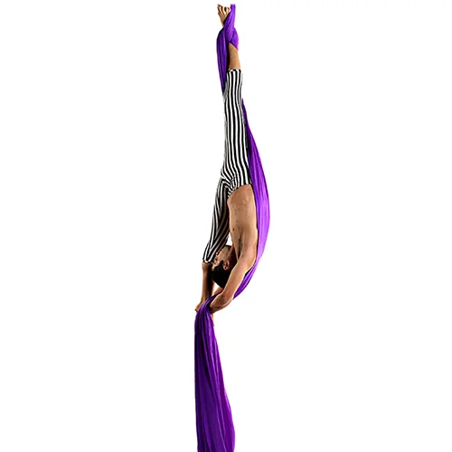 11x17 print Aerialists Ernesto.jpg