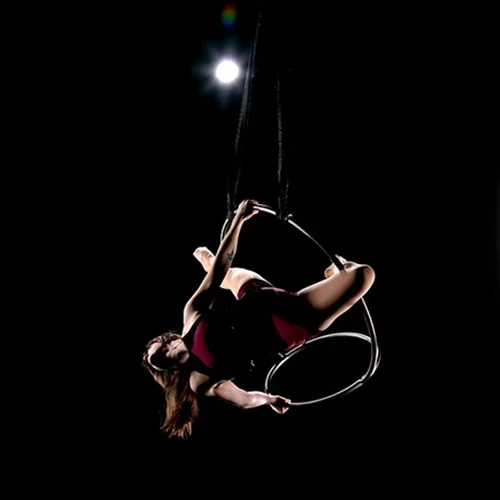 11x17 print Girls on Trapeze 1.jpg