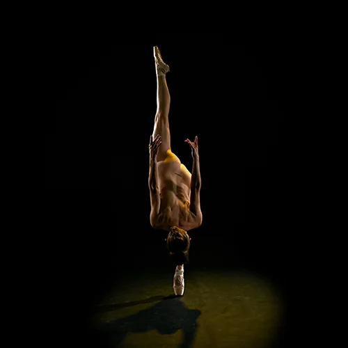 Dancer Project7084-2.jpg