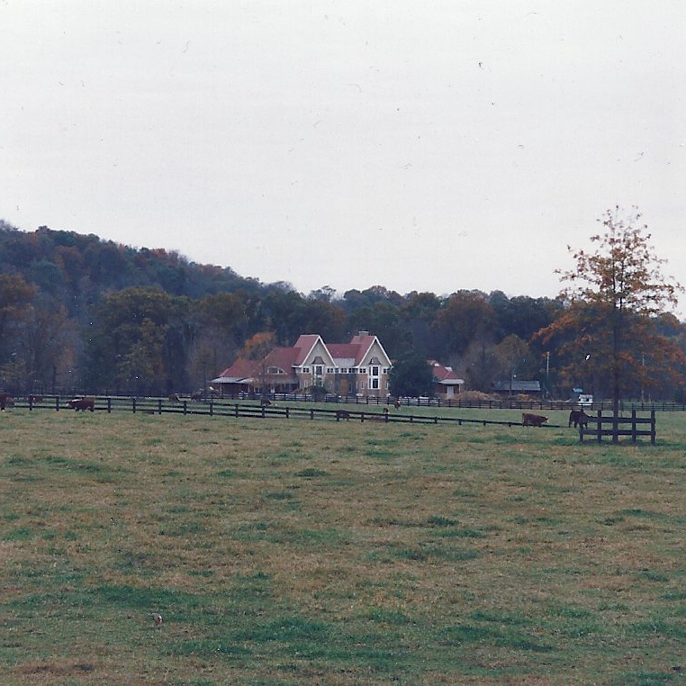 Across the Pasture