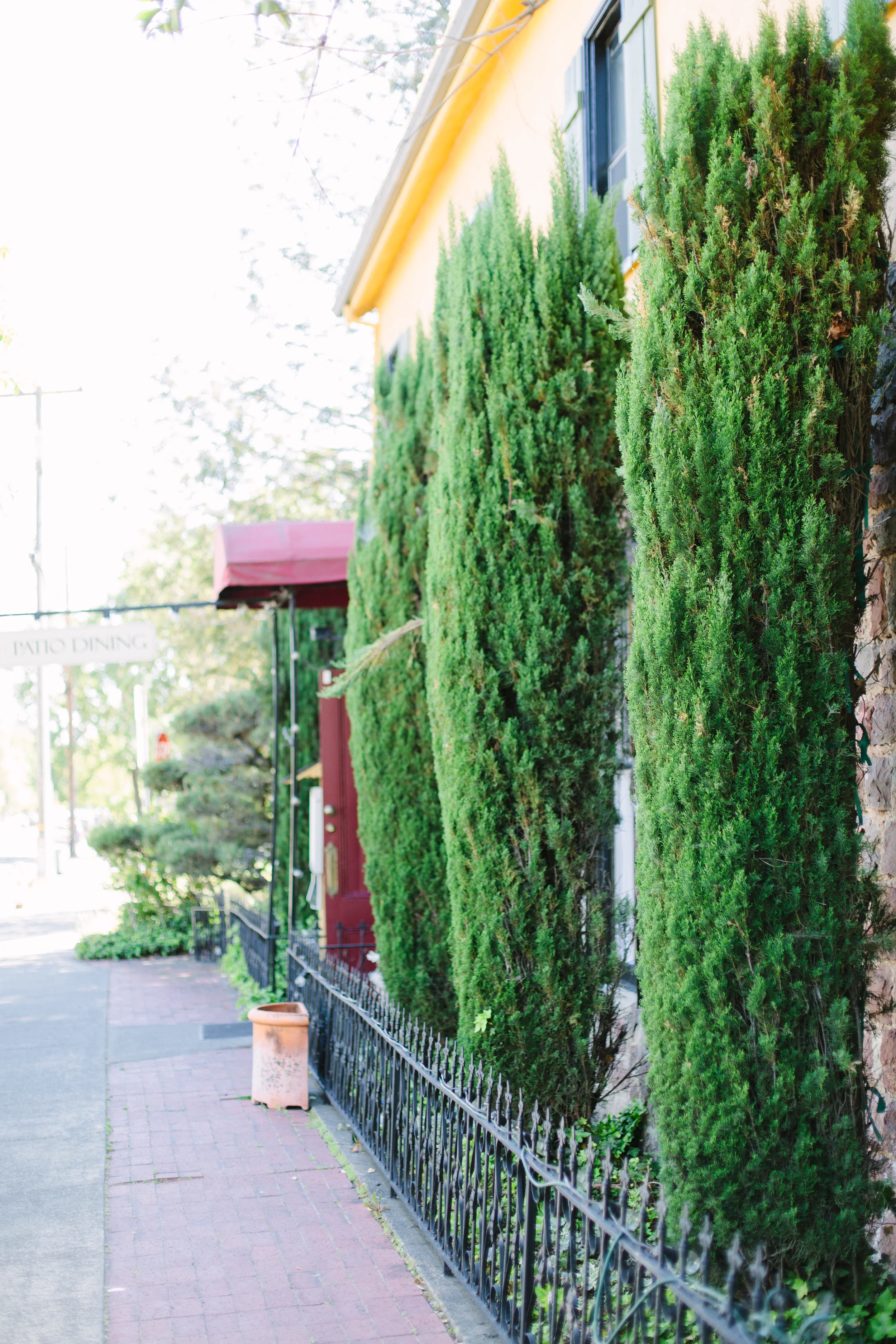 Megan Clouse Photography