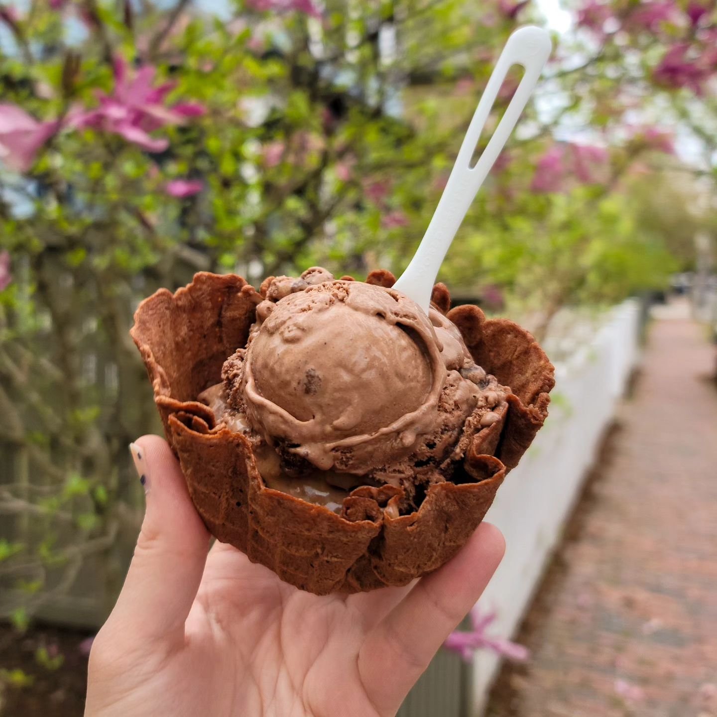 As April draws to a close, our rotating flavors have started leaving the menu!👋🥲 Hojicha &amp; Maple Taffy is gone, and Caramel Brookie and Orange Mango Sorbet will likely follow it today or tomorrow!

But! The good news is we've started putting Ma