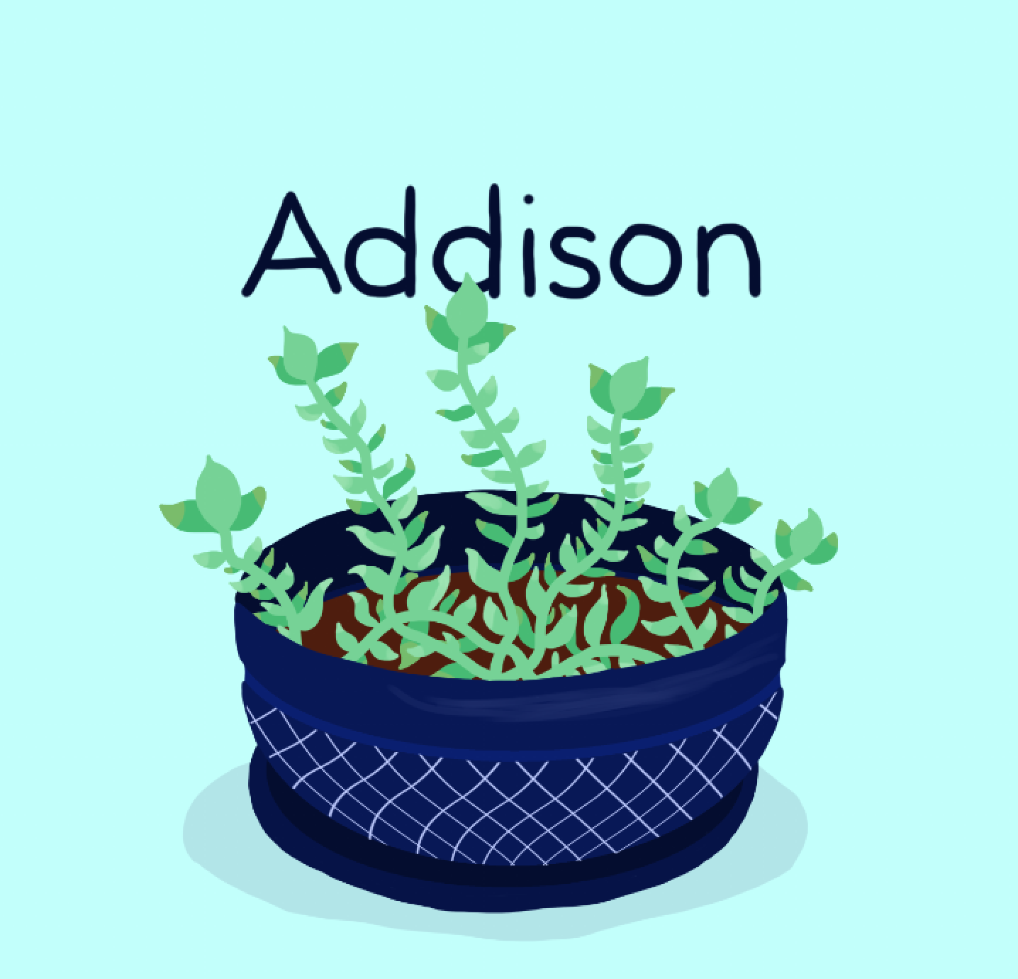 Tory-Woollcott-Plants Addison.png