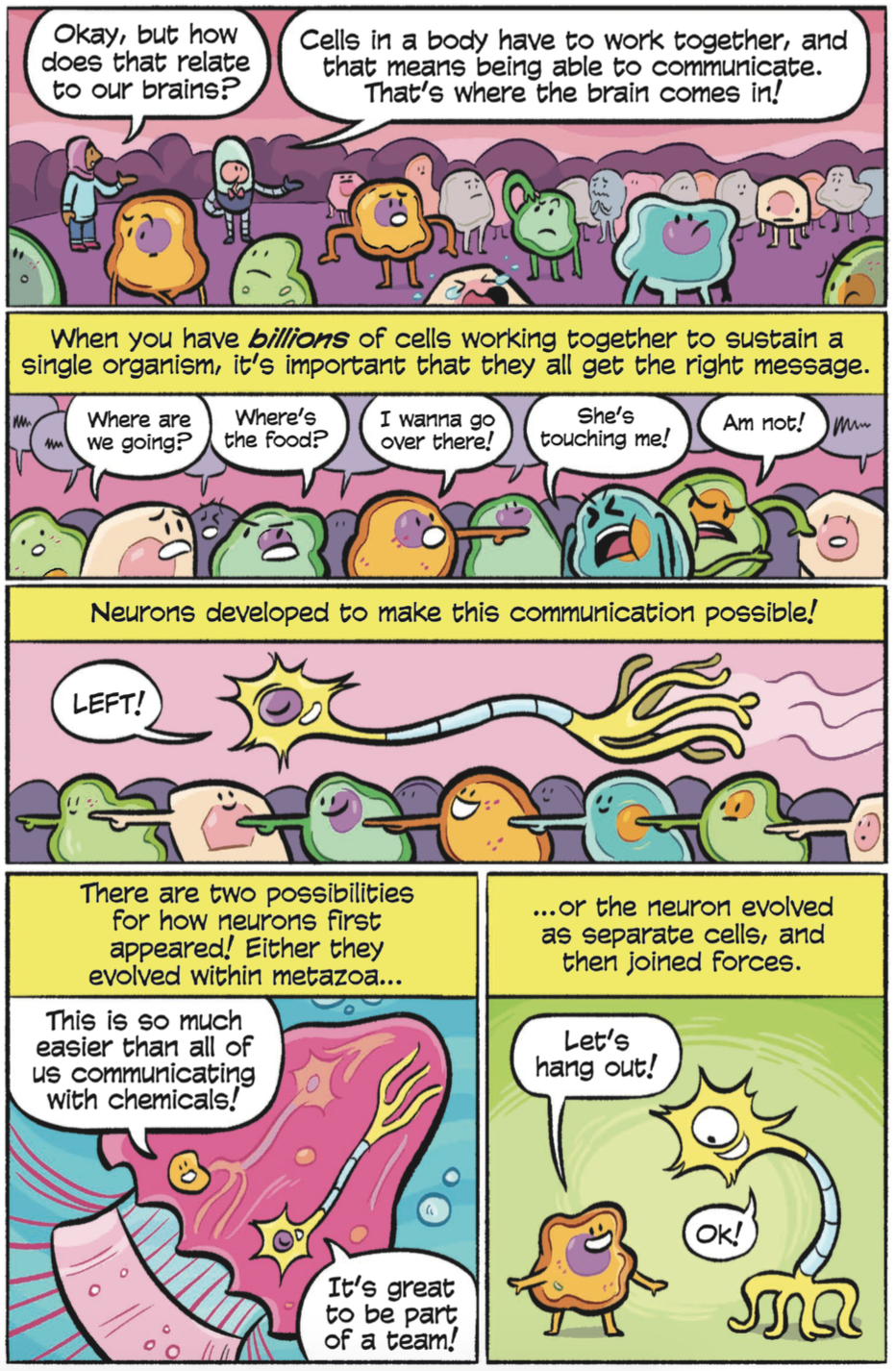SCIENCE COMICS BRAINS Tory Woollcott Alex Graudins.png