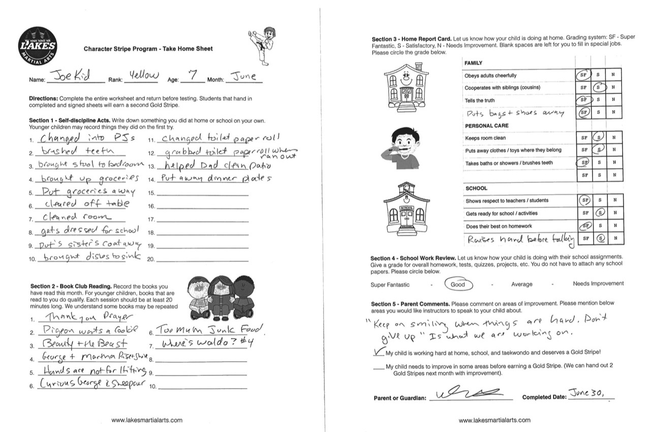 NEW! Character Stripe Program at Lakes Martial Arts